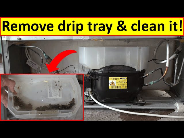 CLEAN THE DRIP PAN