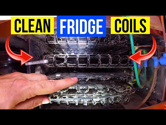 CLEAN YOUR REFRIGERATOR’S COILS