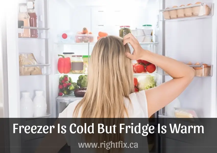 Freezer Is Cold But Fridge Is Warm