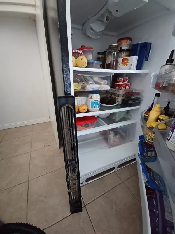 RightFix Tech Fixed Fridge