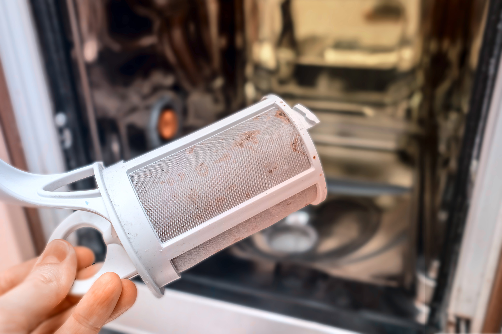 A dishwasher filter being removed for cleaning under running water