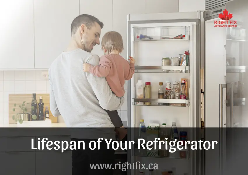 Lifespan of Your Refrigerator