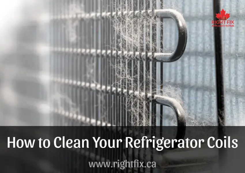 How to Clean Your Refrigerator Coils