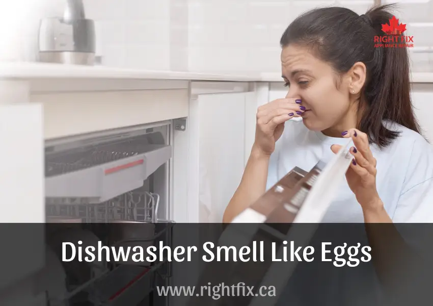 Why Does My Dishwasher Smell Like Eggs?