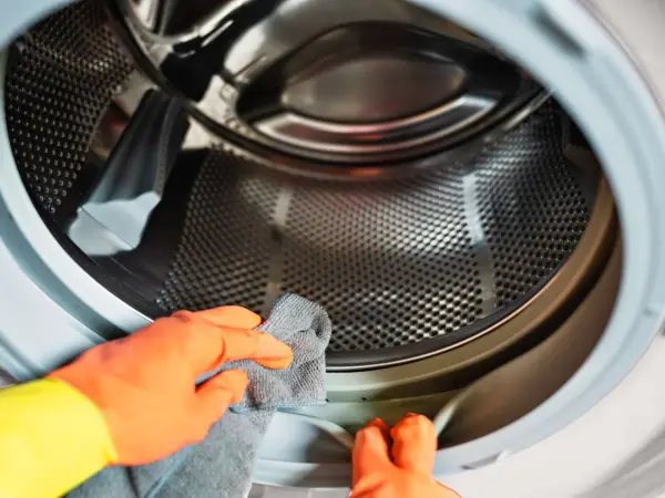 Clean the Gasket