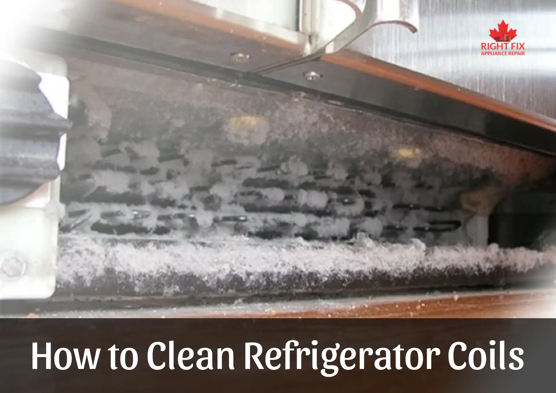 How to Clean Refrigerator Coils
