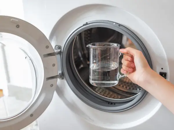 How to Clean Mold Out of a Washing Machine