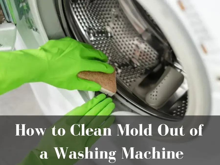 How to Clean Mold Out of a Washing Machine