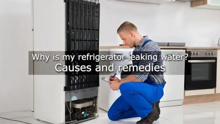 Refrigerator leaking water: common Causes and solutions