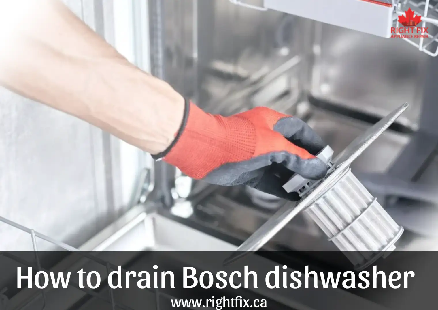 How to Drain and Clean a Bosch Dishwasher: Full Guide | RightFix