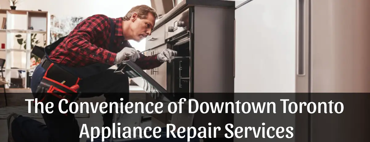 DIY vs. Professional Home Appliance Repair: Toronto Edition